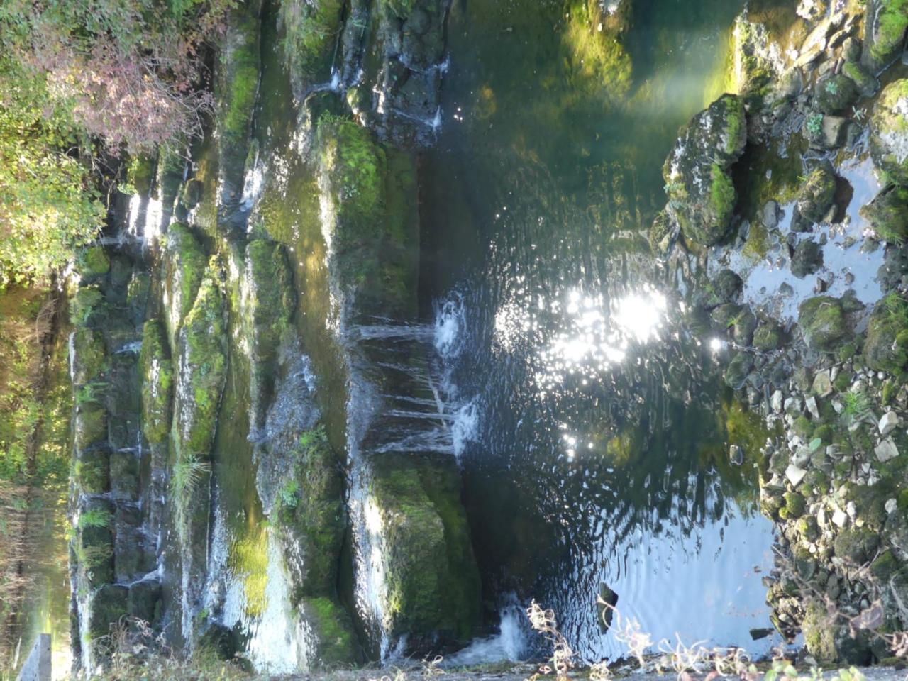 Aux Truites Bleues Hotel Fort-du-Plasne Luaran gambar
