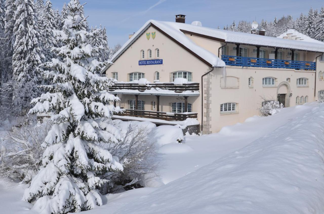 Aux Truites Bleues Hotel Fort-du-Plasne Luaran gambar